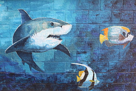 blue fishes and shark painted wall thumbnail