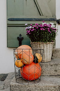 Pumpkins and flowers as decoration on stairs thumbnail