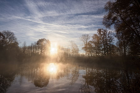 landscape photography of trees and body of water during daytime thumbnail