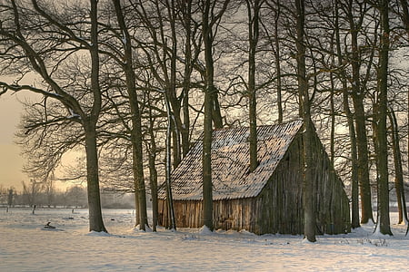 shack in the forest graphic wallpaper thumbnail