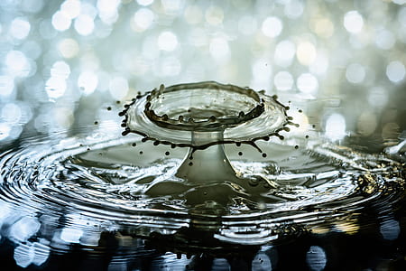 water cripple in selective focus photography thumbnail