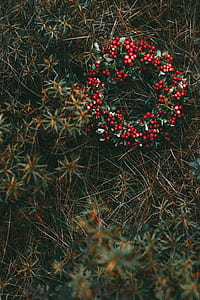 Christmas-themed wreath thumbnail