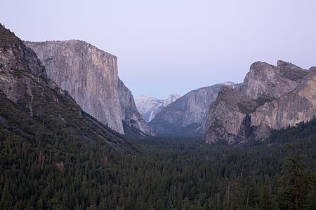 landscape photography of mountain and trees thumbnail