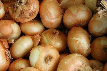 white onion lot thumbnail