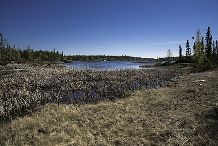 Marsh and Wetland Landscape on the Ingraham Trail thumbnail