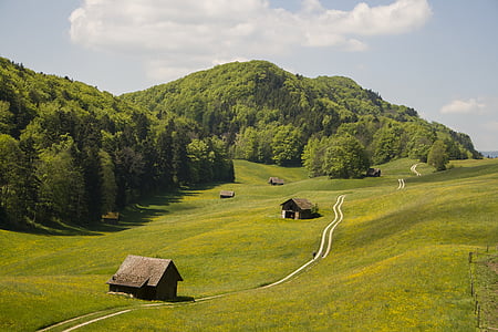 brown wooden houses on green grass field under clouds and skies at daytime thumbnail