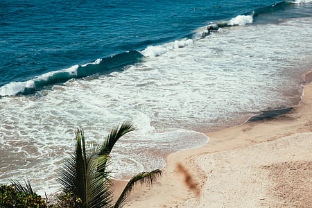 Tropical Beach Photo thumbnail