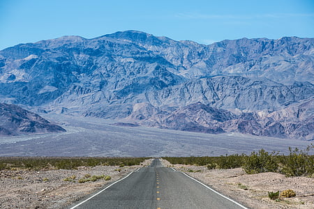 empty road between bushes during daytime thumbnail