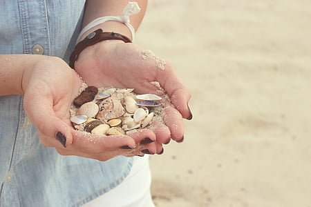 person holding seashells thumbnail