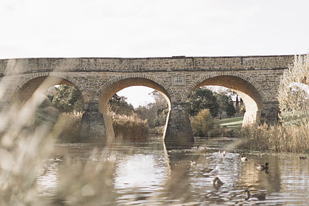 gray concrete bridge over river thumbnail