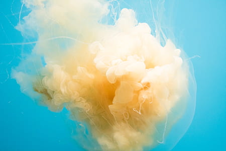 orange smoke thumbnail