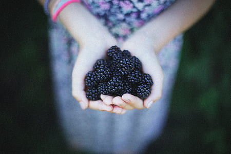 shallow focus photography of person holding blueberries thumbnail