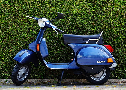 blue motor scooter beside green plant thumbnail