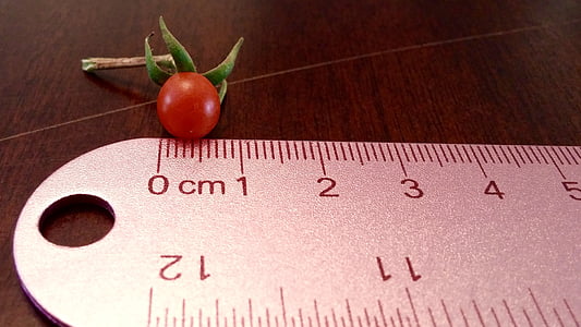 red cherry tomato thumbnail