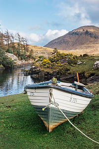 gray and green wooden boat on green grass near lake at daytime thumbnail
