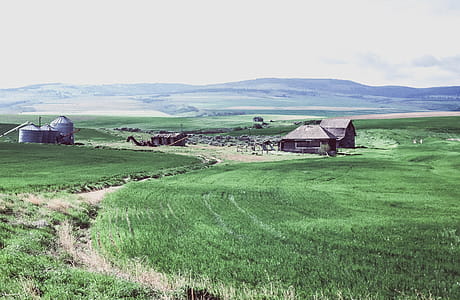 View of Fields with farm houses thumbnail