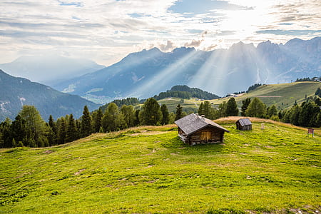 brown house at the center of meadow thumbnail
