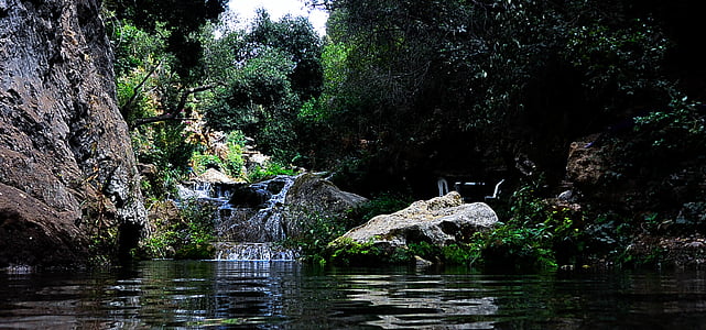 calm body of water near the tree during daytime thumbnail