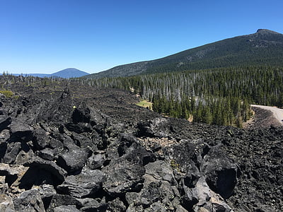 photo of stone piled beside pine trees thumbnail