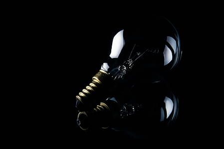closeup photo of two clear Edison light bulbs on black background thumbnail