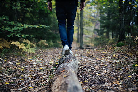 person standing on brown and green leaves thumbnail