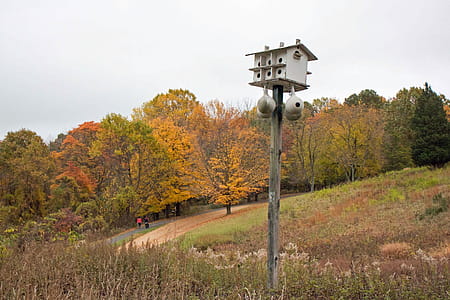 Bird houses in a field. thumbnail