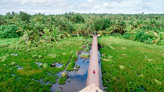 Aerial Photo of Person Walking on Brown Road Near Green Field thumbnail