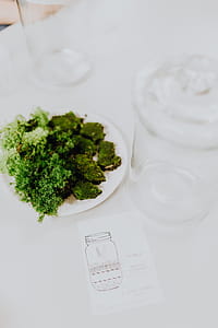 Building Rainforest Terrarium in a Jar thumbnail