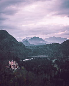 green trees thumbnail