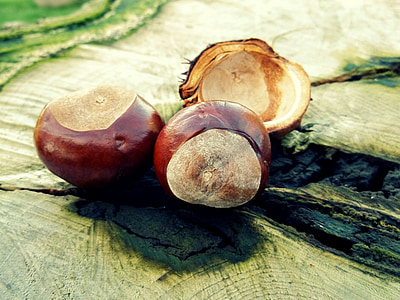 selective focus photography of brown fruits thumbnail