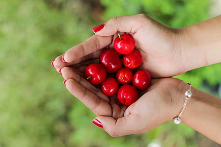 person holding berries thumbnail