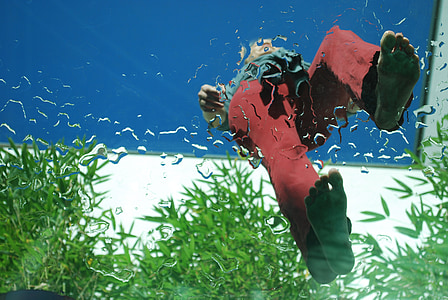 person on top of glass surface near leafed plants thumbnail