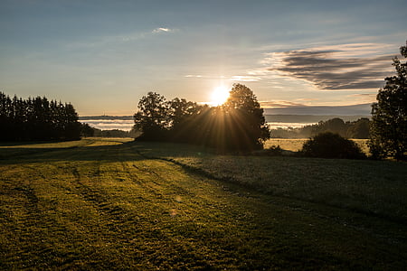 green grass field surrounded by tree during daytime thumbnail