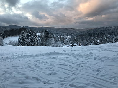 pine trees on snow covered ground near mountain range under gray cloudy sky thumbnail