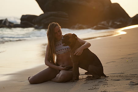 woman sitting on seashore beside brown dog thumbnail