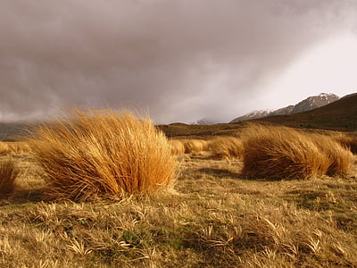 landscape photo of hay thumbnail
