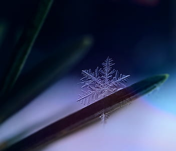 cold, snow, art, dark thumbnail