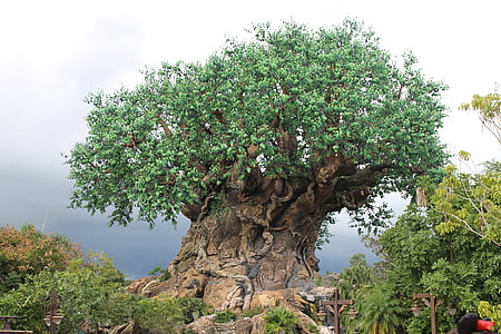green bonsai tree thumbnail