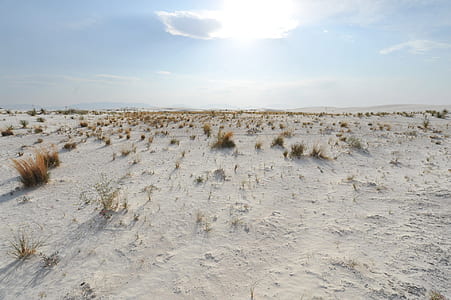 vast desert thumbnail