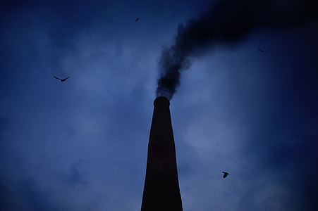low angle photo of silhouette of birds flying under the clouds thumbnail