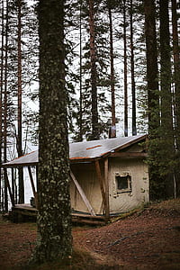 Cabin in the Woods thumbnail
