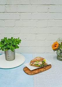 green leafed plant on white plate thumbnail
