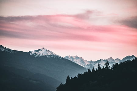 silhouette of trees on mountain thumbnail