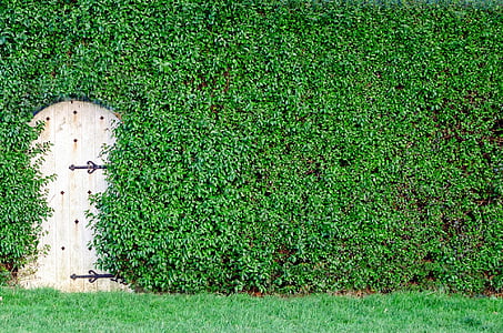 close wooden door covered with grass thumbnail