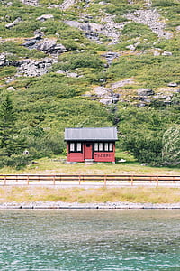 red wooden shed near trees thumbnail