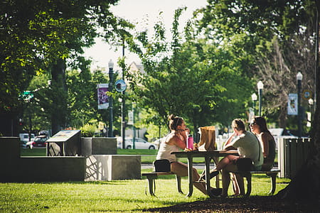 people, friends, women, grass thumbnail