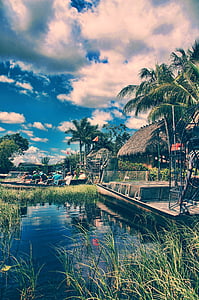 people riding on boat during daytime thumbnail