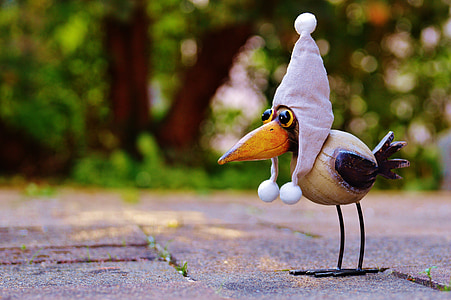 brown and black bird thumbnail