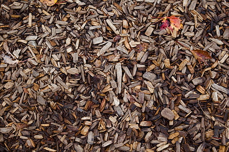 rocks on ground thumbnail