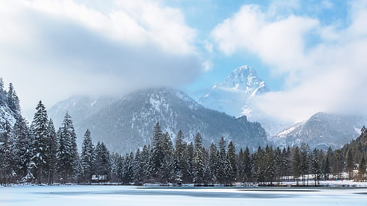 landscape photography of snow-covered trees and mountain thumbnail
